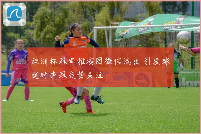欧洲杯冠军推演图微信流出 引发球迷对夺冠走势关注