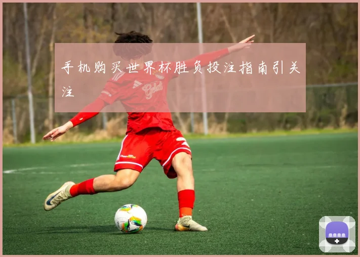手机购买世界杯胜负投注指南引关注