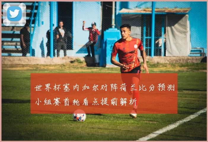 世界杯塞内加尔对阵荷兰比分预测小组赛首轮看点提前解析
