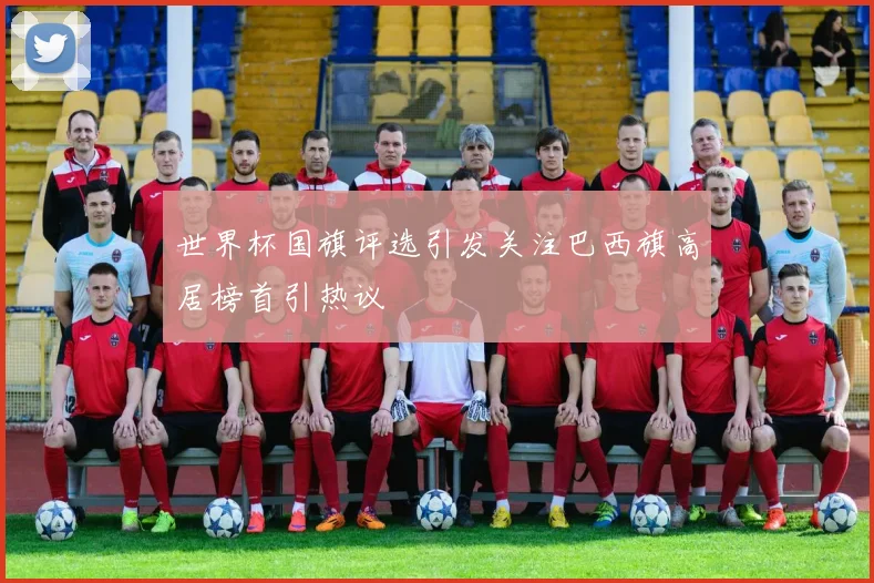 世界杯国旗评选引发关注巴西旗高居榜首引热议
