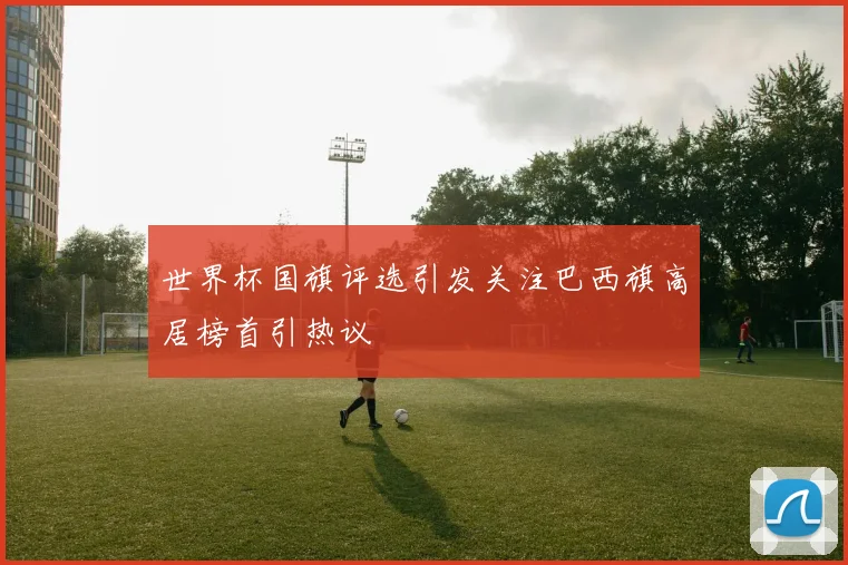 世界杯国旗评选引发关注巴西旗高居榜首引热议