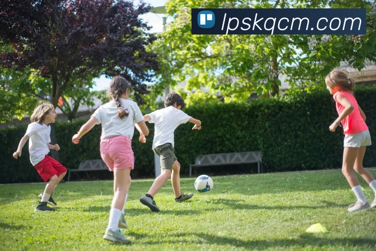 App Interface Preview